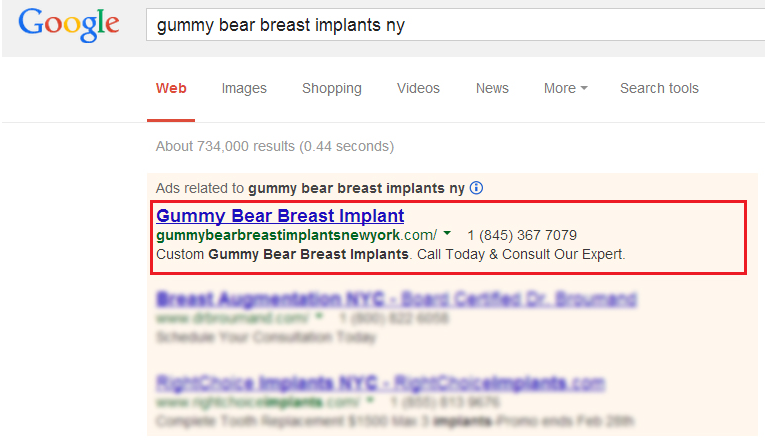 Google Search Ad PPC Case Study Screenshot